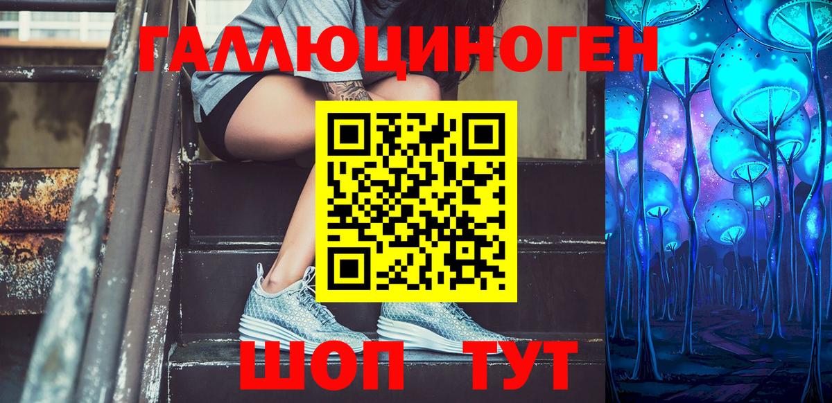 Галлюциногенные грибы Cubensis Курган