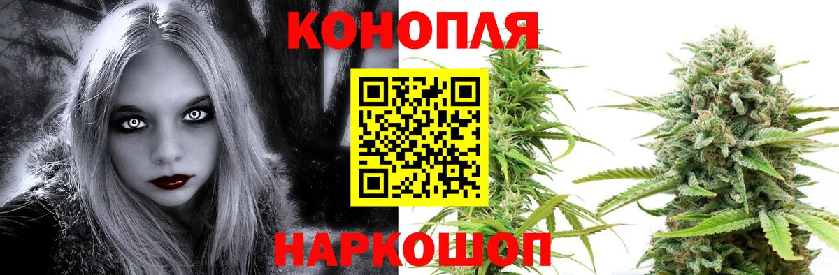 Бошки Шишки ГИДРОПОН  Вход с VPN  Бошки Шишки Amnesia  Бошки Шишки Bruce Banner  Курган 